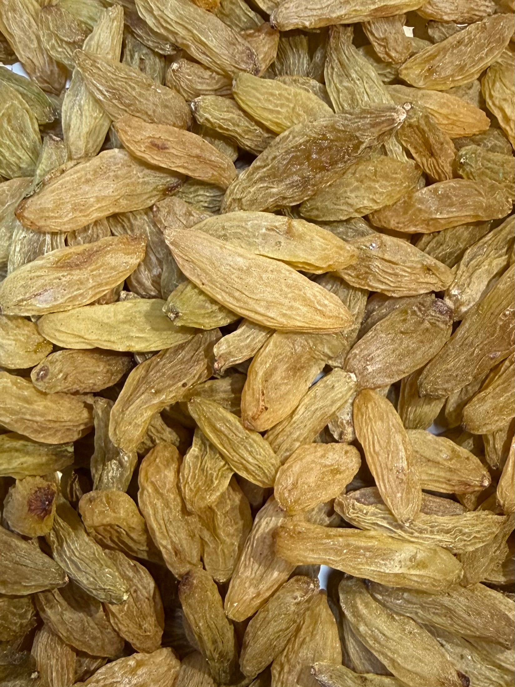 Sindhukani Kismis